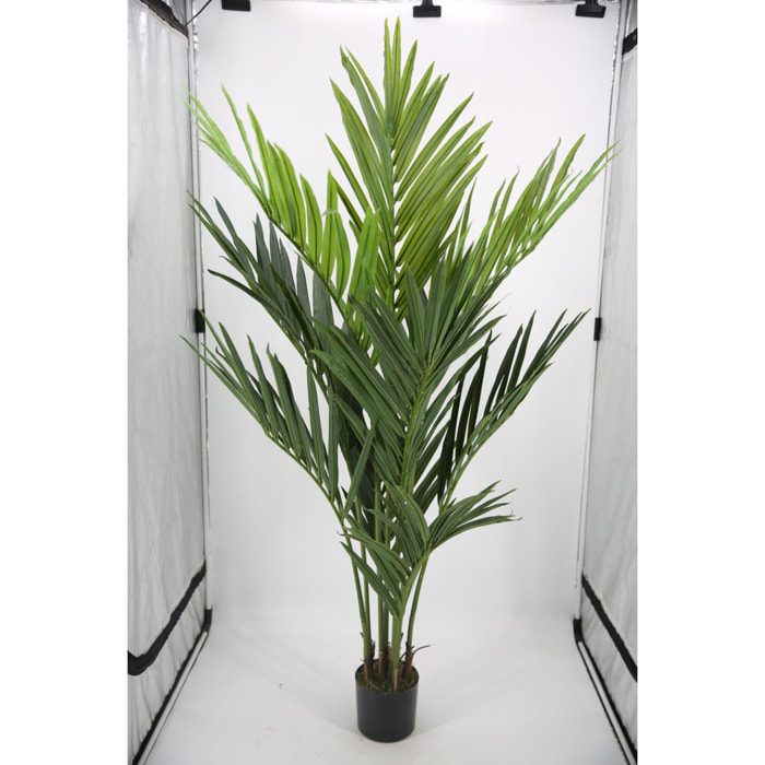 Kenzia con vaso - Pezzi 1 - Colore: Verde - 55xH180x55cm - Bianchi Dino