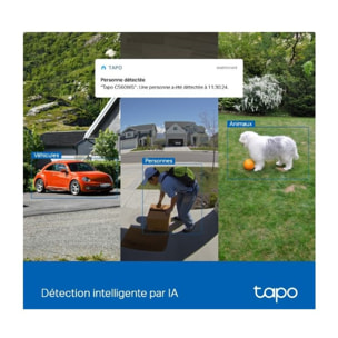 Caméra de surveillance TP-LINK outdoor Tapo C560WS