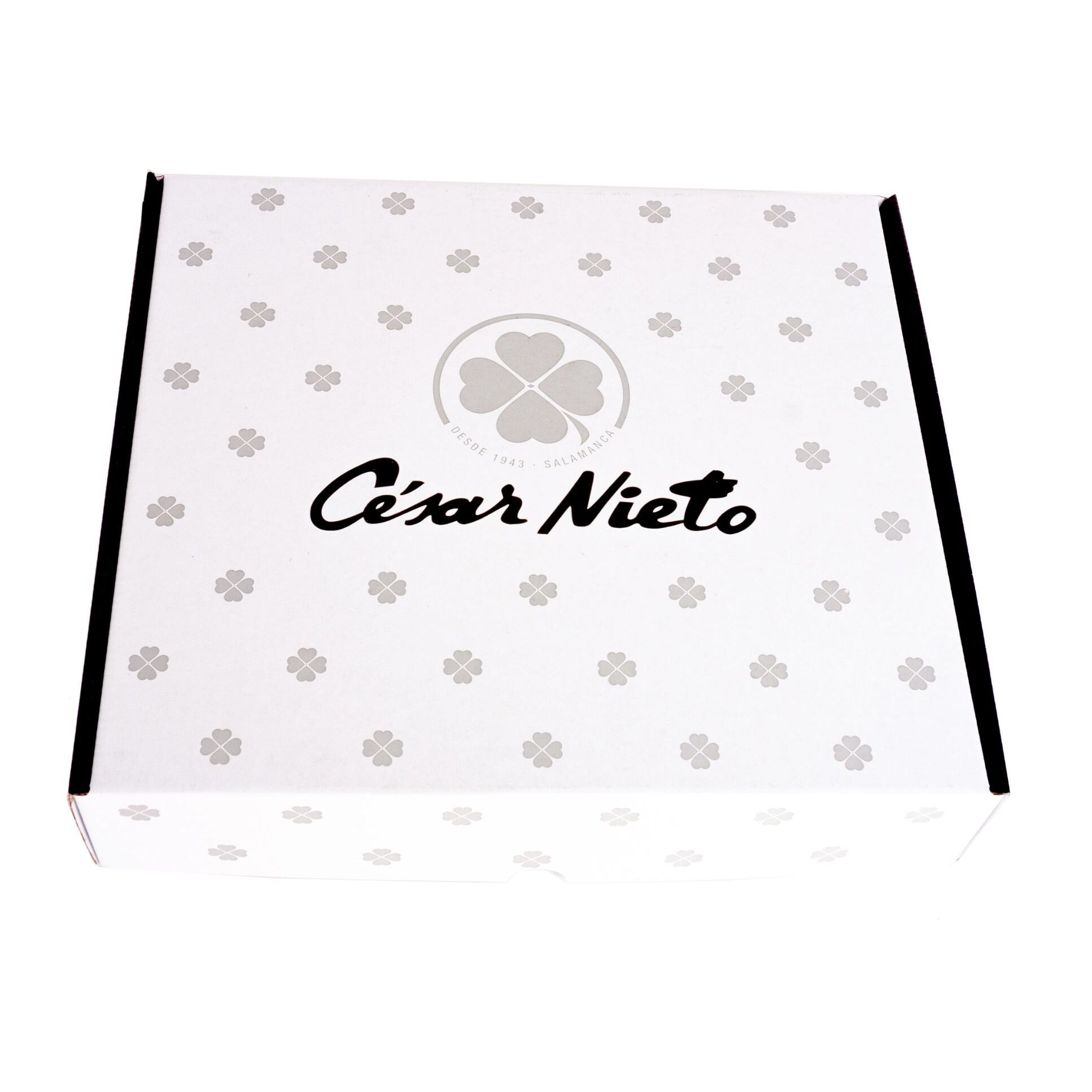 Pack Etuis Coupé à la Main XL Cebo de Campo Ibérico : Jambon Cebo de Campo 50% Ibérico (10x80 g) + Box Cadeau - 800 g - Espagne - César Nieto