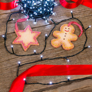 guirnaldas con 480 luces led en blanco frío - cable 3m