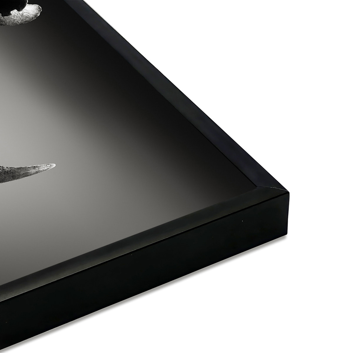 Affiche encadrée rhinocéros en noir et blanc Affiche + cadre en métal - Noir