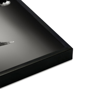 Affiche encadrée rhinocéros en noir et blanc Affiche + cadre en métal - Noir