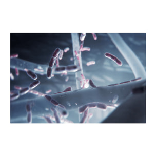 AEG Filtro de protección contra particulas ultrafinas, bacterías y virus para Multi 7000 AFWCLN5