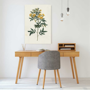 Tableau fleurs millepertuis illustré Tableau alu Dibond