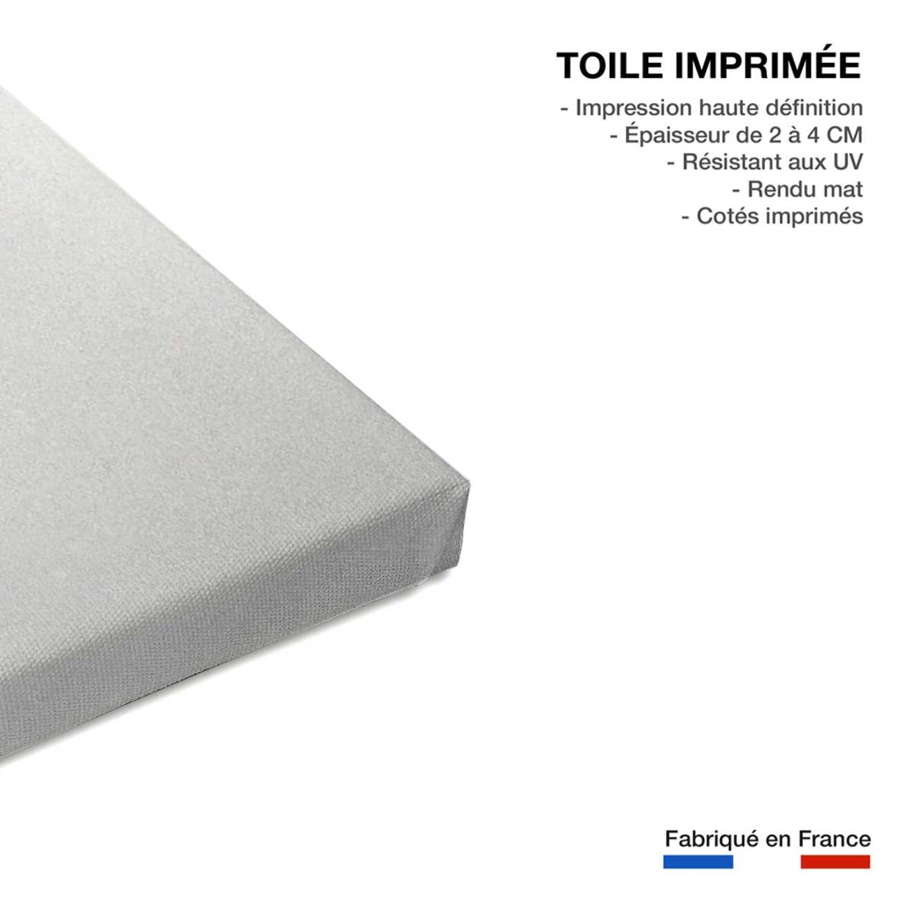 Tableau photo d'actrice de mireille darc en 1967  Toile imprimée