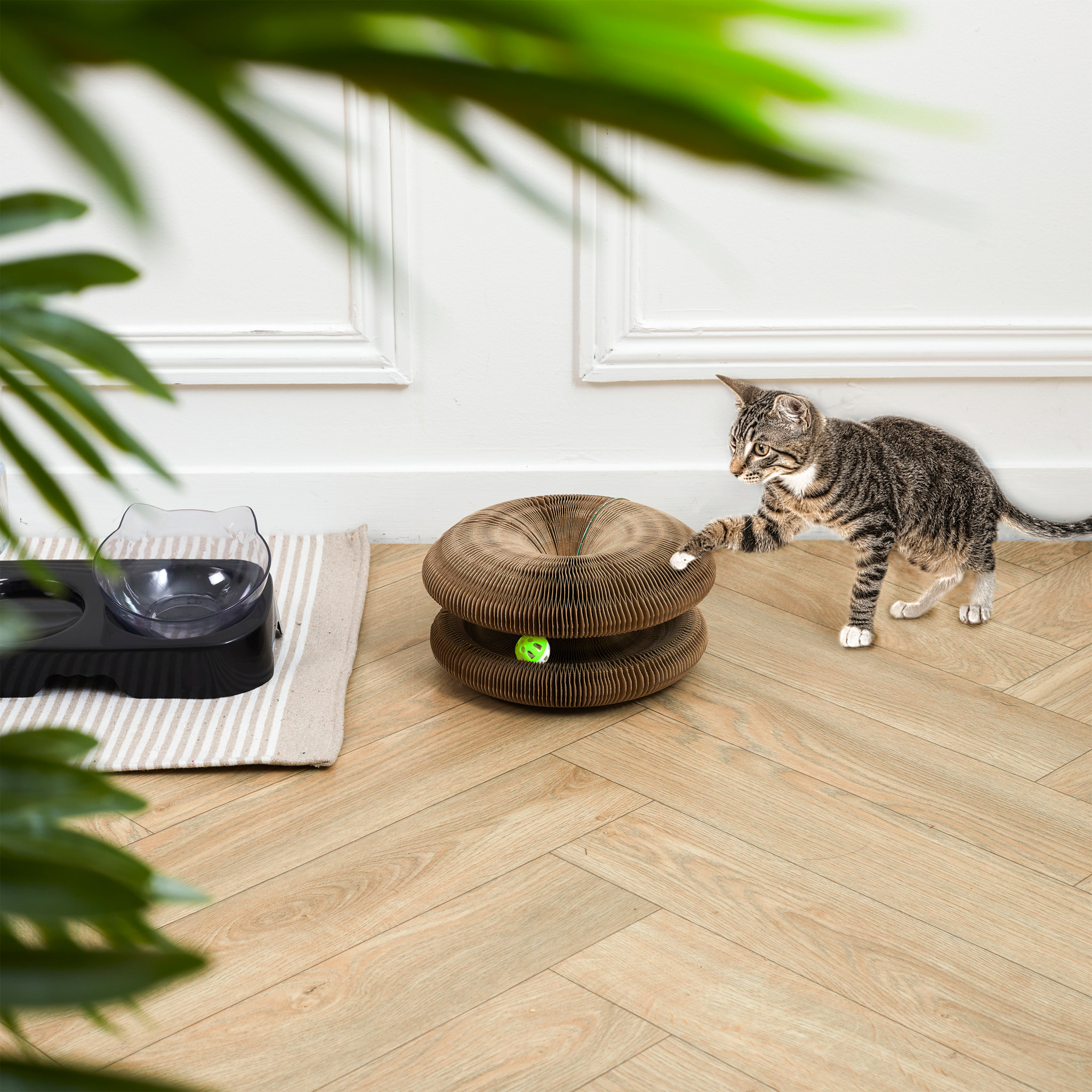 Jeu Griffoir Pour Chat