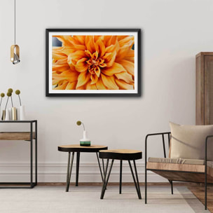 Affiche fleurs coeur de chrysanthème Affiche sous cadre noir