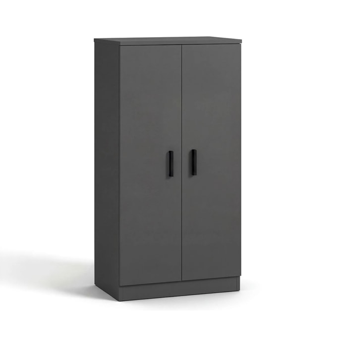 Zapatero de 2 puertas en gris grafito 55x108 cm Liam Gris Grafito
