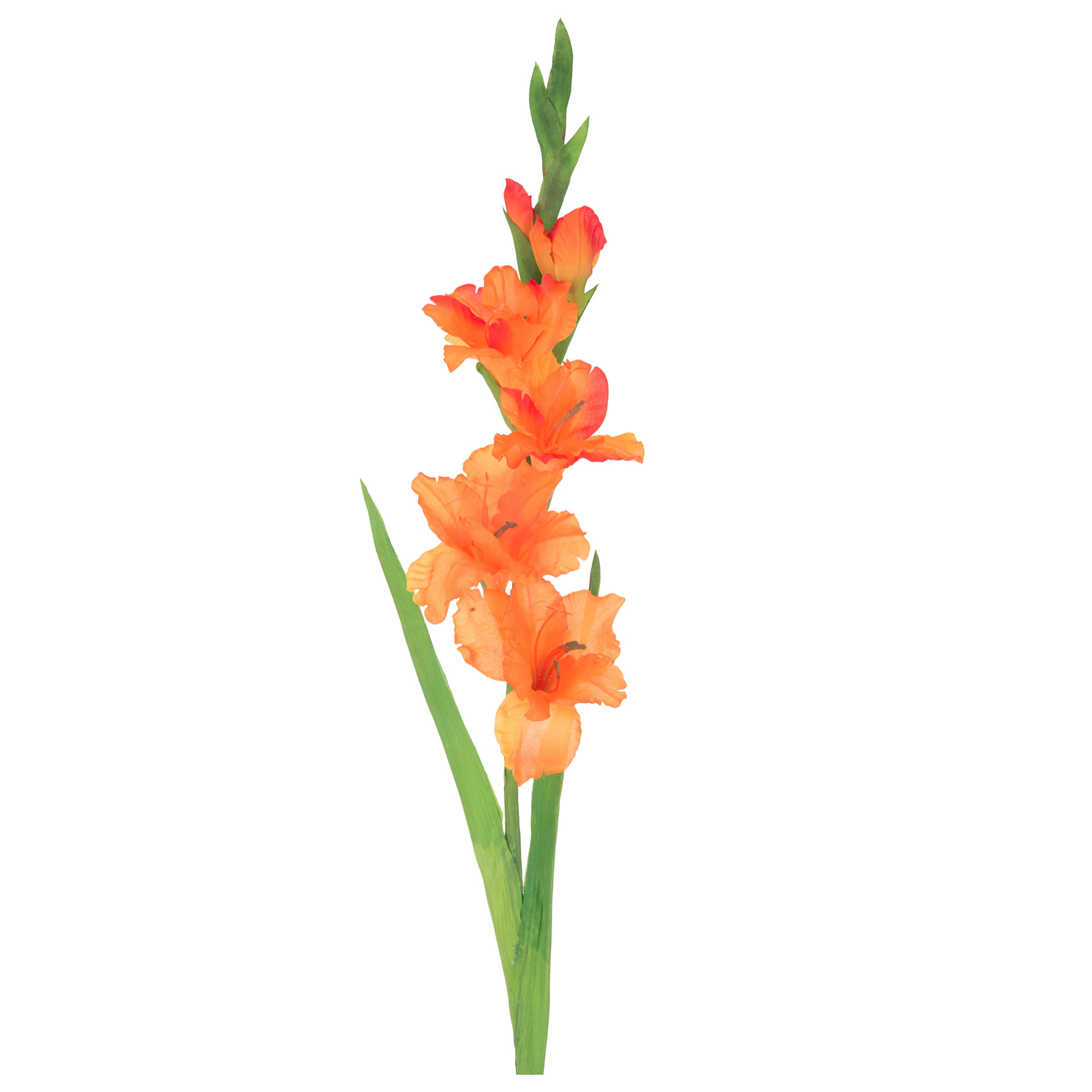 Fiore Di Gladiolo Mini. Altezza 74 Cm - Pezzi 12 - 13X74X7cm - Colore: Arancio - Bianchi Dino - Fiori Artificiali