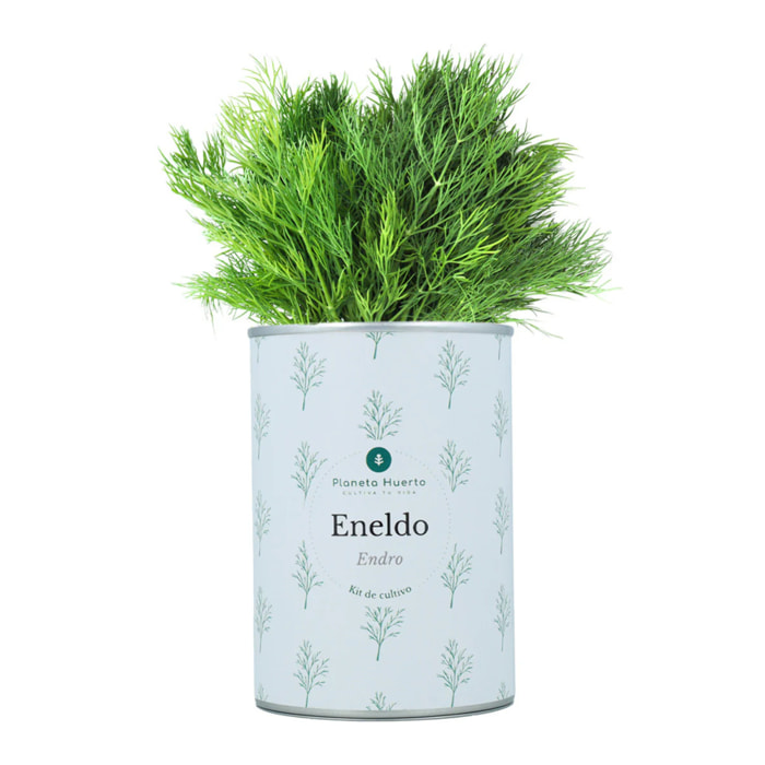 Kit de cultivo aromáticas Eneldo Planeta Huerto