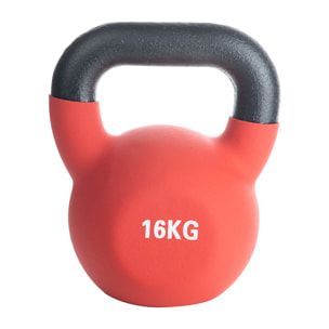 Russ Dumbbell Kg 16