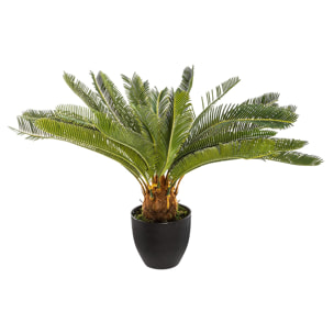 Planta de piña Altura 72 cm- Atmosphera