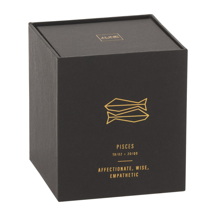 J-Line bougie parfumée Astro Poisson – Rainbow Reef – noir - 50H