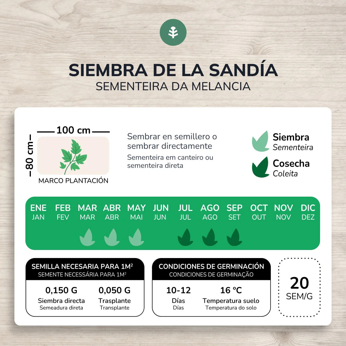 Semillas de Sandía Crimson Sweet ecológicas Planeta Huerto