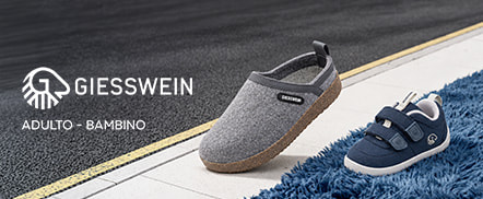 Giesswein