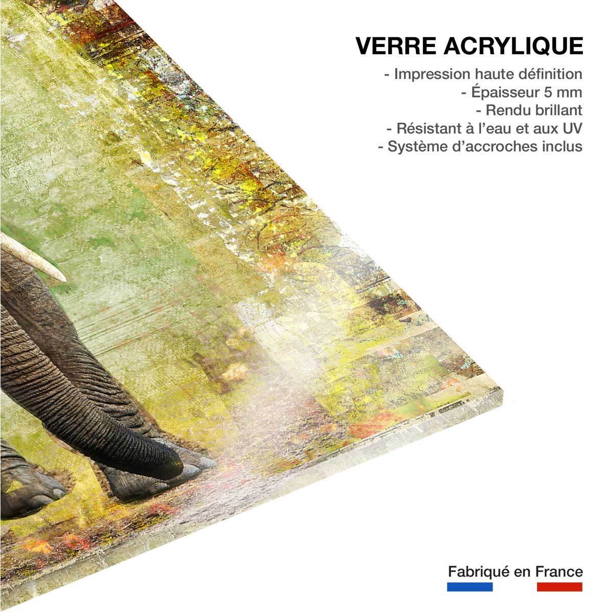 Tableau contemporain deco elephant Tableau plexiglas