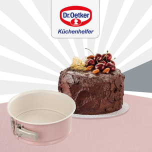 Moule à manqué à charnière Dr.Oetker Rétro