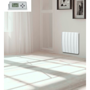 Radiateur inertie fonte 1000w
