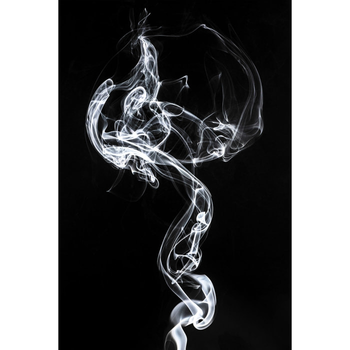 Tableau  white smoke medusa Toile imprimée