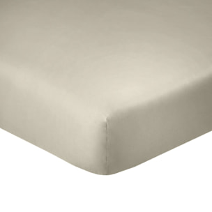 Drap Housse - Bonnet 35cm 100% Coton 57fils Latte