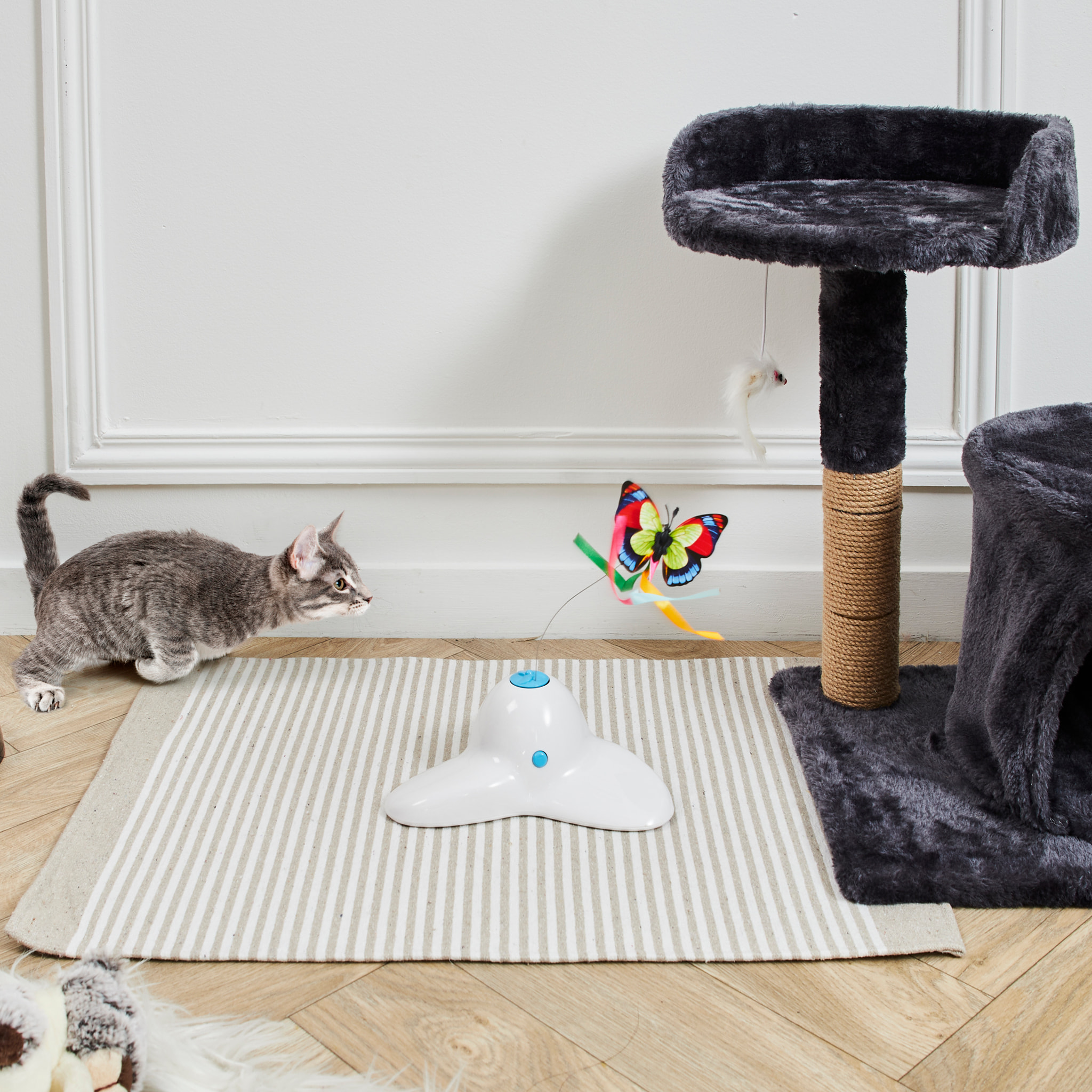 Jeu Papillon Interactif Pour Chat