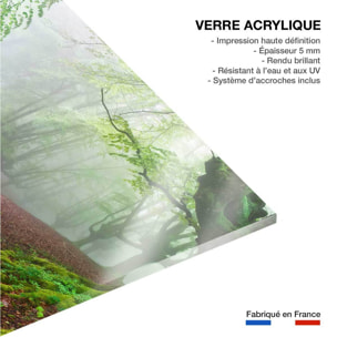 Tableau paysage de foret renaissance verte  Tableau plexiglas