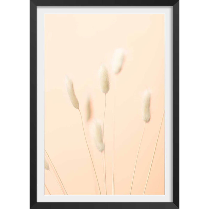 Affiche  scandi pampa Affiche + cadre en bois - Noir