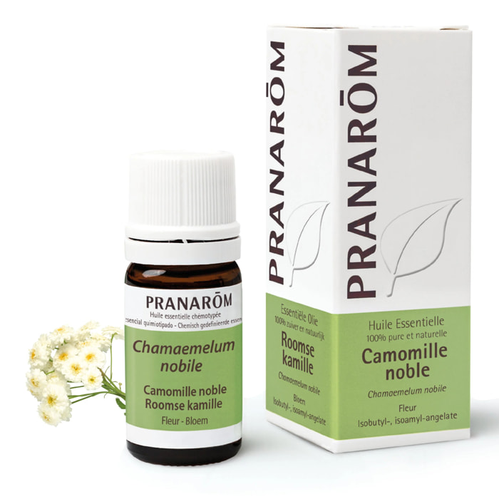 Pranarom - Huile Essentielle de Camomille noble - 5 ml