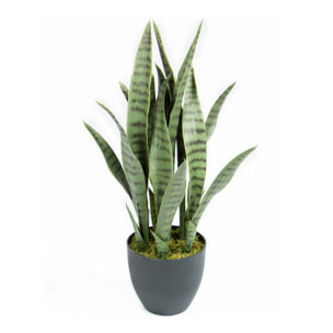 Planta Artificial Sansevieria 70 Cm