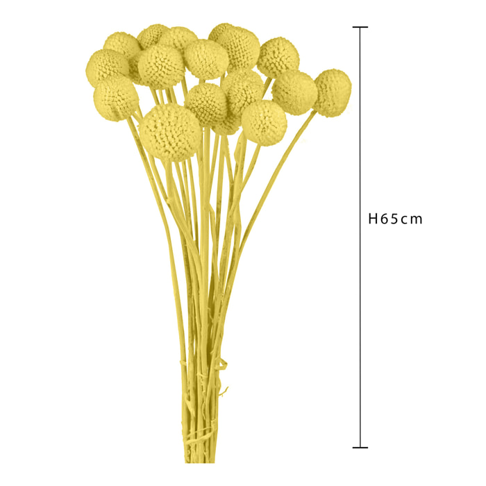 Corona "Paglia" 20X4 Cm  - Pezzi 6 - 20X4X20 - Colore: altro - Bianchi Dino - Cesteria