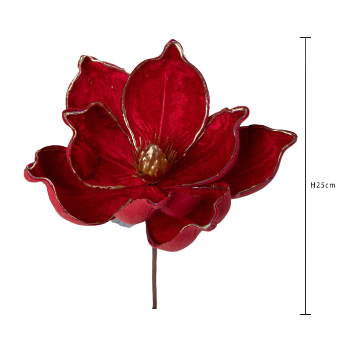 Pick magnolia - Pezzi 12 - ROSSO - Bianchi Dino SpA