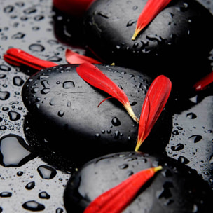 Poster zen petales rouges Affiche + cadre en bois - Noir