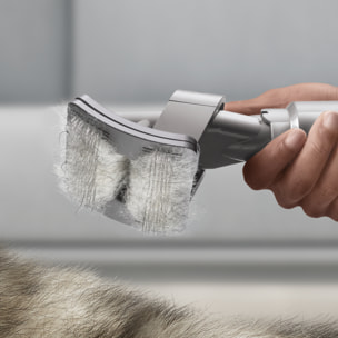 Dyson Accessori | Kit per la cura degli animali