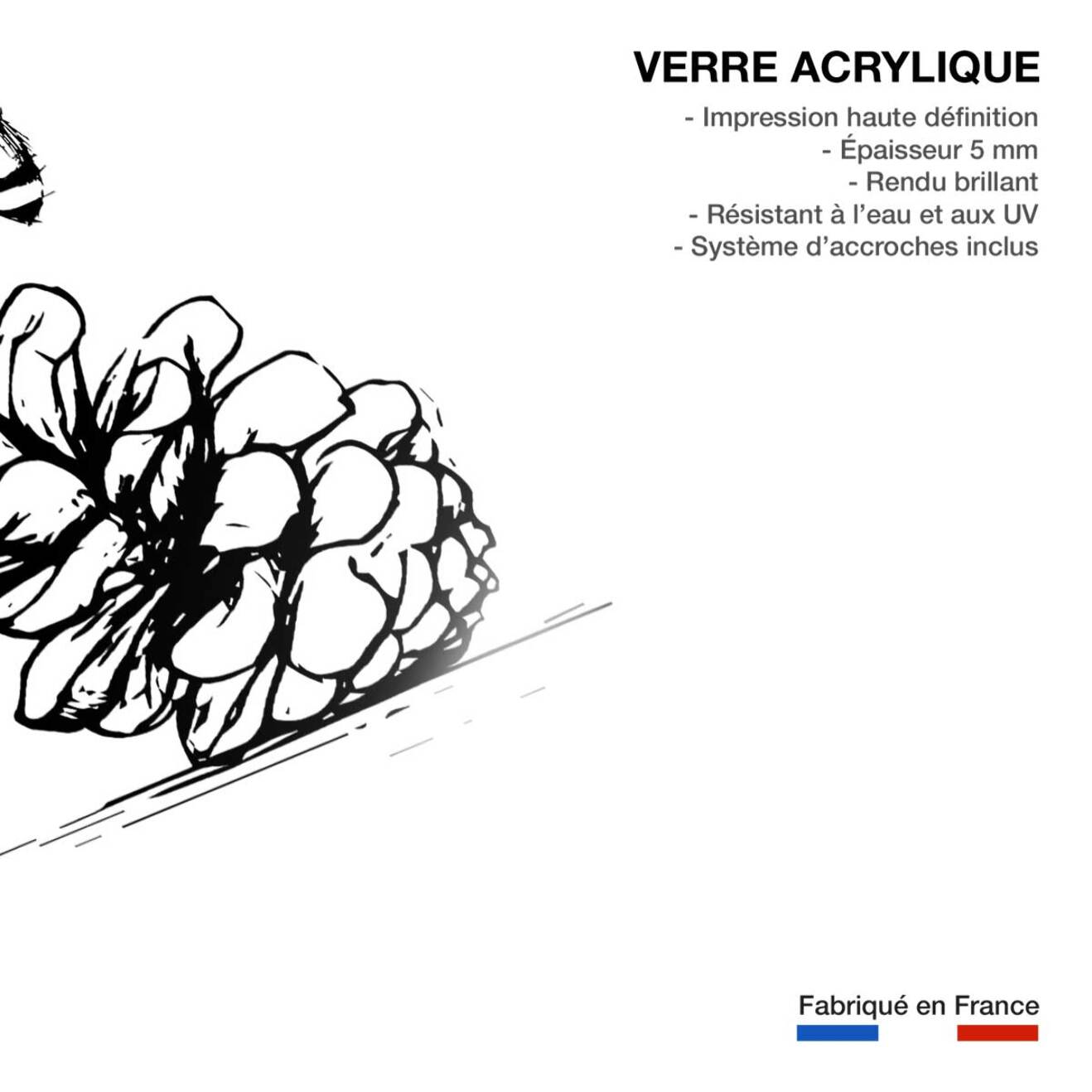 Tableau pomme de pins Tableau plexiglas