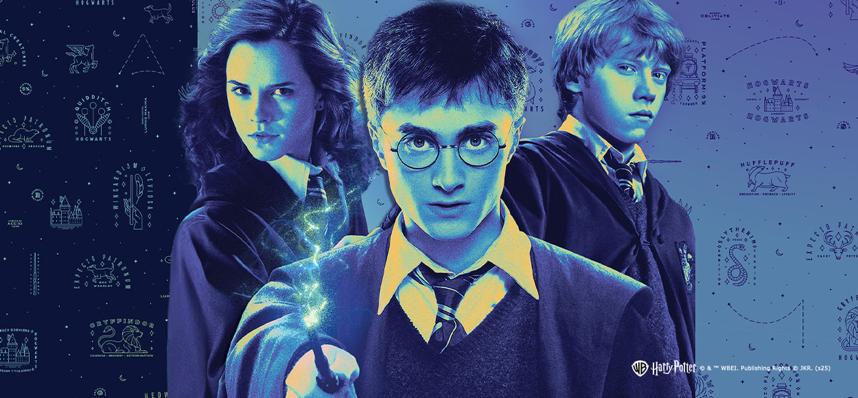 HARRY POTTER en vente privilège chez VEEPEE