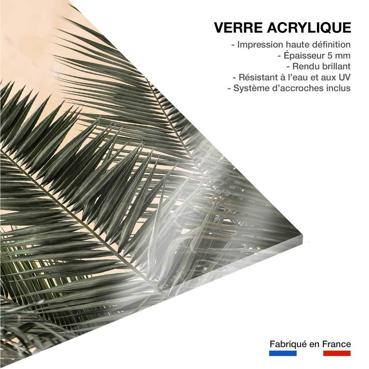 Tableau sandy palme Tableau plexiglas