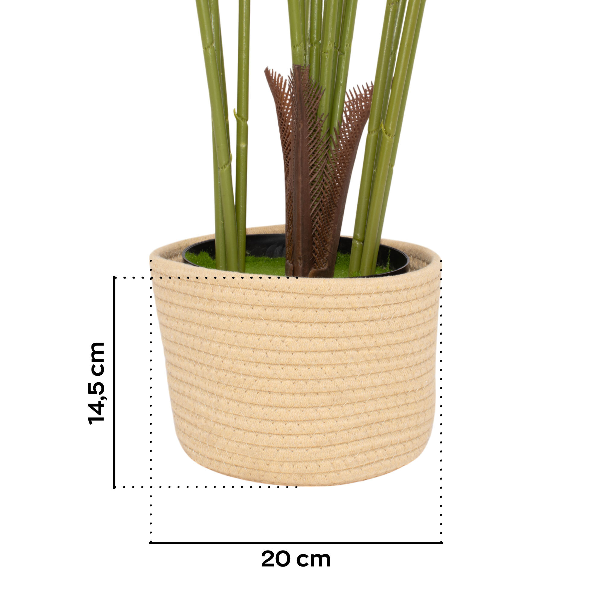 Kentia 210 - Pianta Artificiale Decorativa Tropicale Kentia H210 cm per Interno Esterno con Vaso Beige