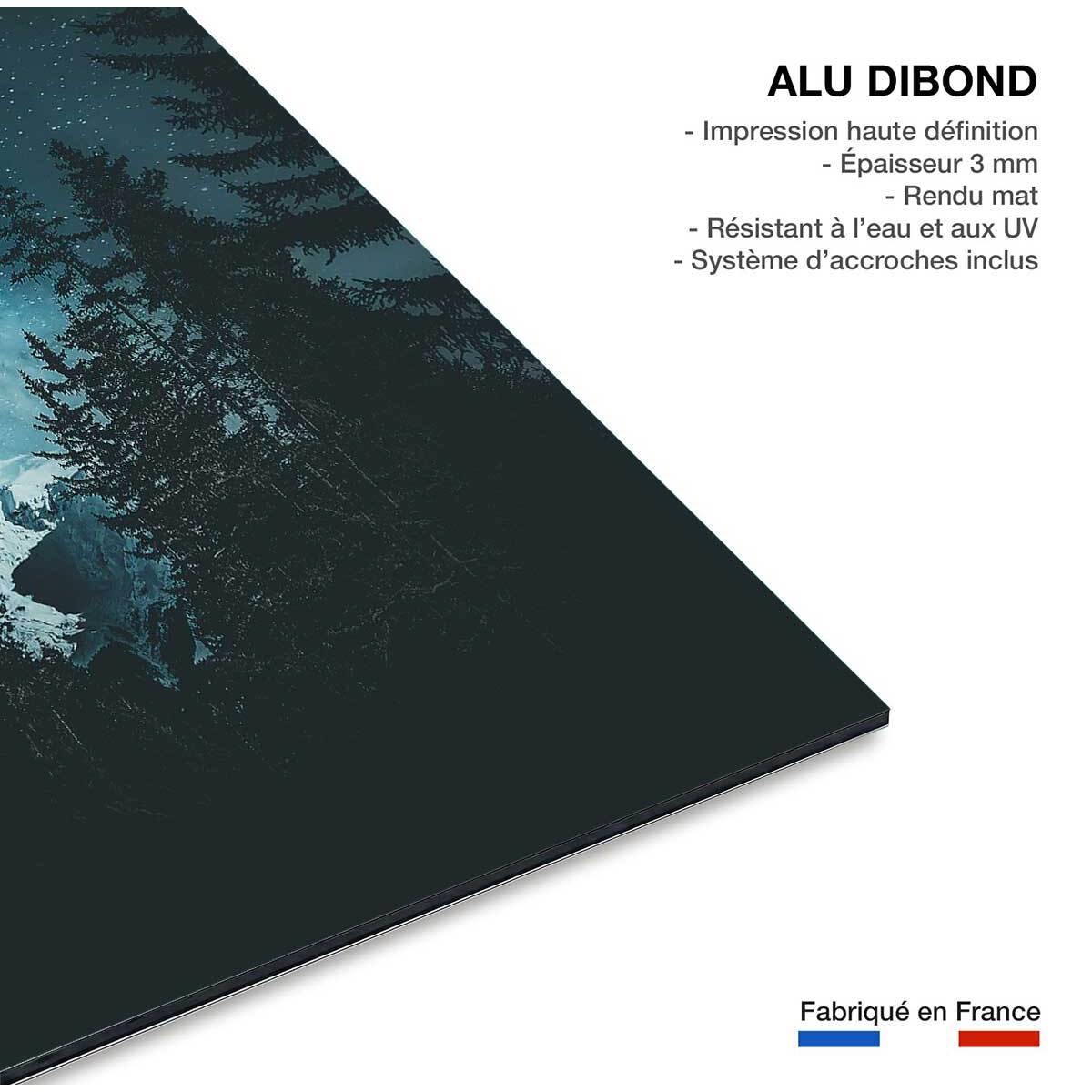 Tableau voie lactée alpine Tableau alu Dibond