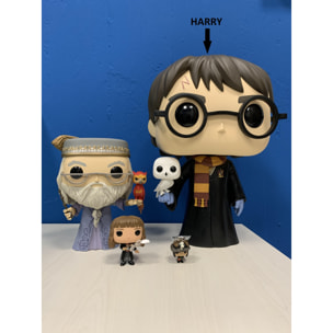 Harry Potter Funko POP Vinile Figura Harry Potter con Edvige 45cm