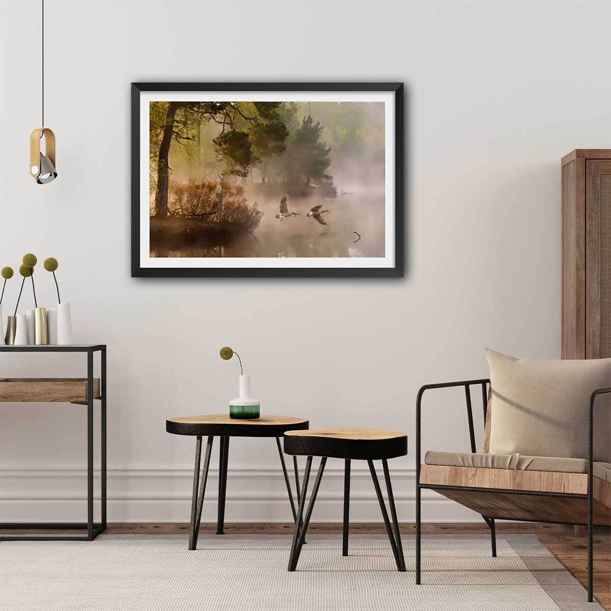 Affiche paysage oies sauvages Affiche + cadre en bois - Noir