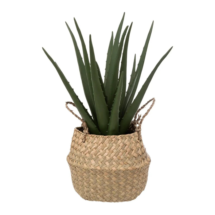 Aloe vera artificiel - pot en roseau - H40 cm