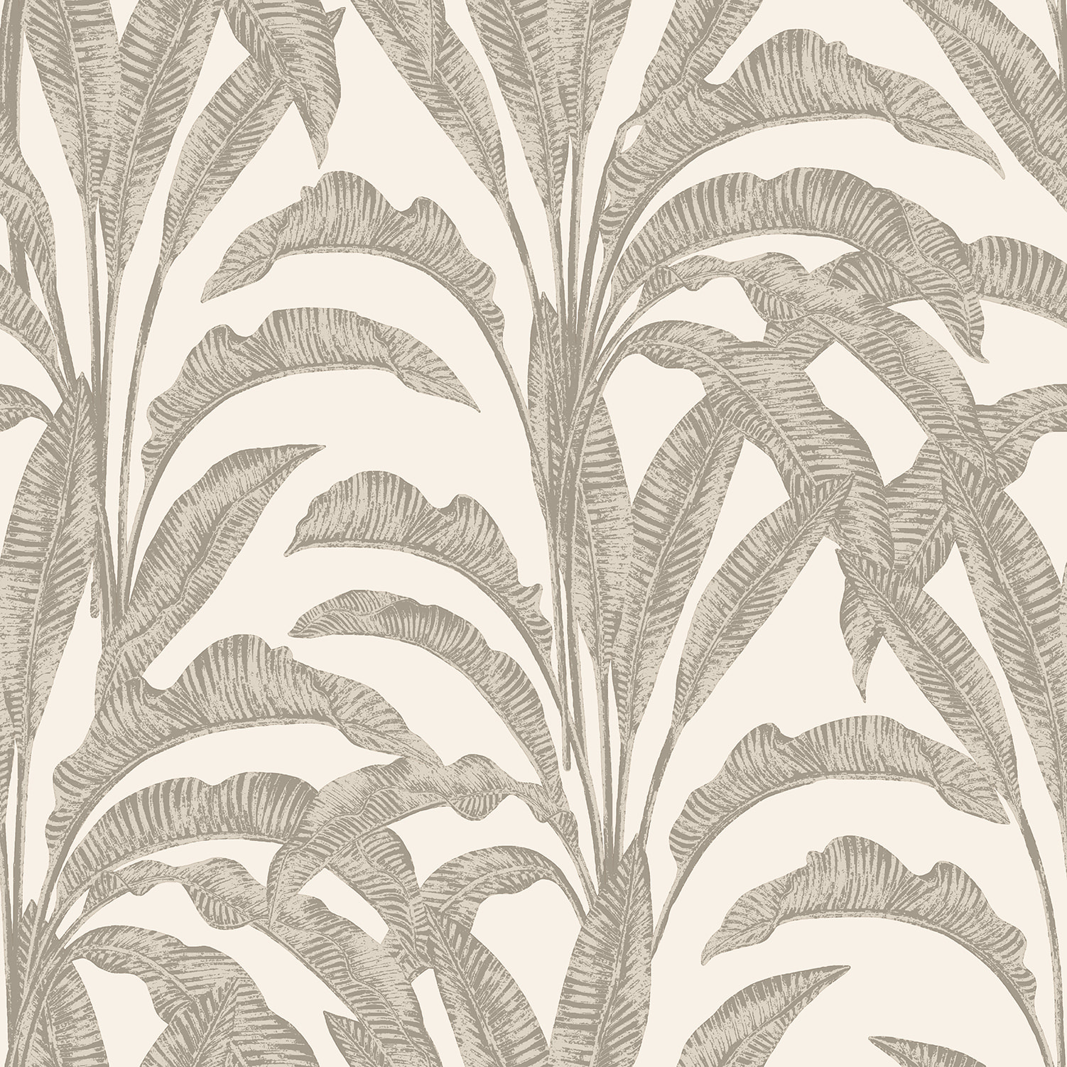 Papier peint feuilles bananier tropical taupe blanc