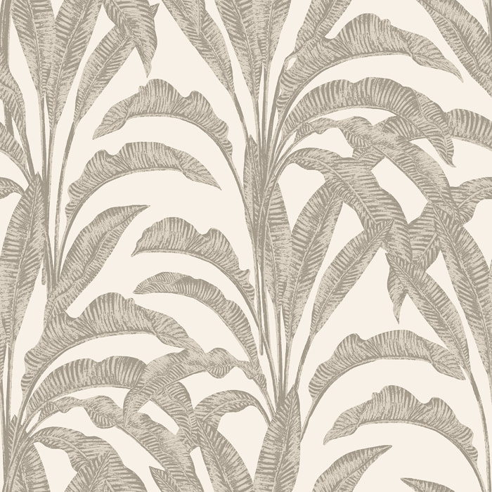 Papier peint feuilles bananier tropical taupe blanc