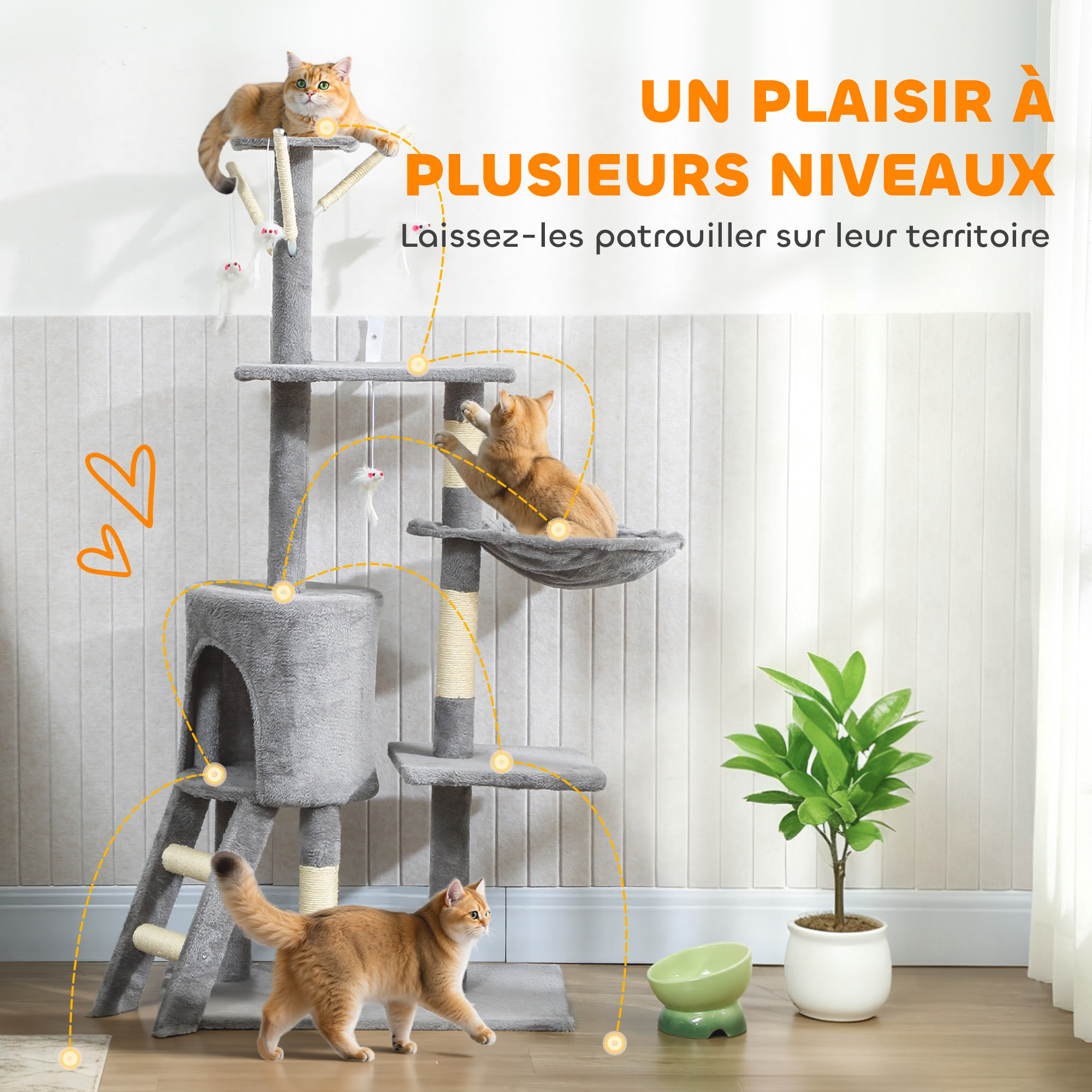 Arbre à chat multi-équipement griffoirs plateformes niche échelle hamac jouets gris