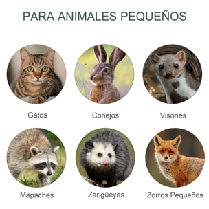 Trampa con 2 Puertas para Atrapar Animales Vivos con Asa 100x25x28 cm Verde