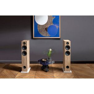 Enceinte colonne active TRIANGLE ELARA LN05A Chene Clair x2