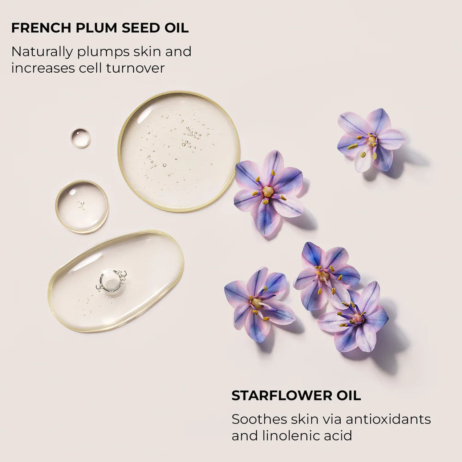 Almond Coconut - Huile pour le Bain et le Corps