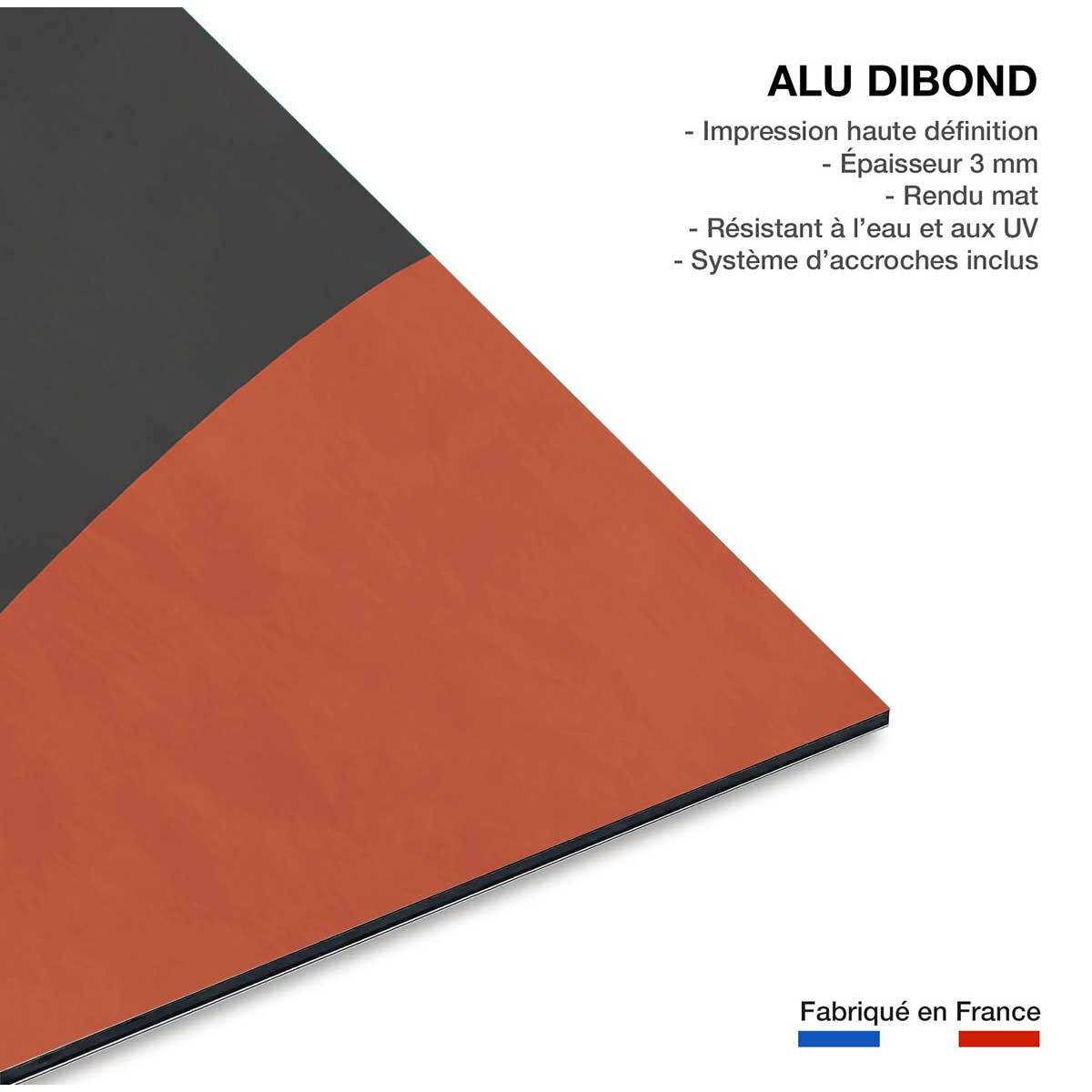 Tableau goodbye moon Tableau alu Dibond