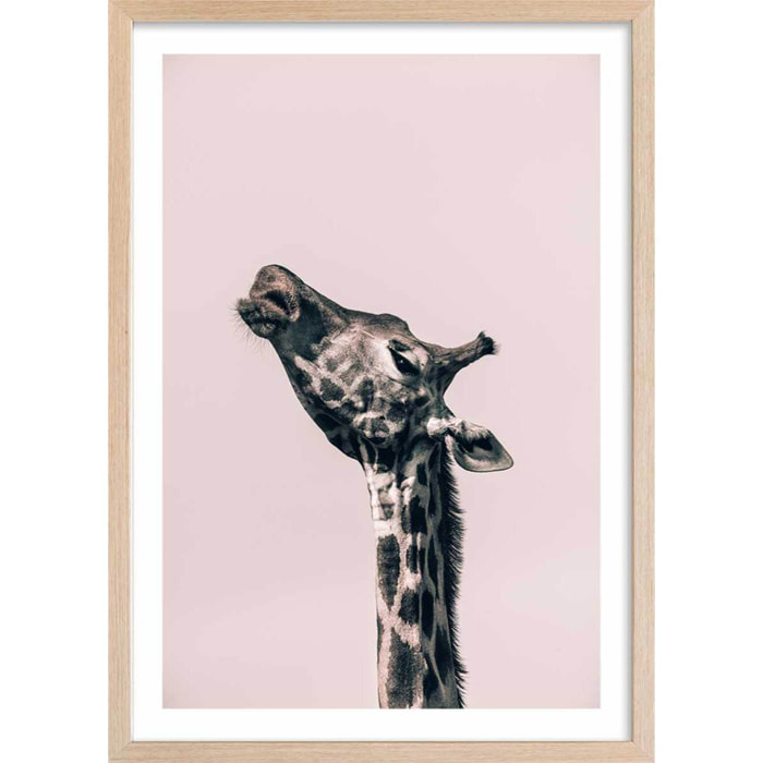 Affiche girafe ma reine Affiche + cadre en bois - Chêne