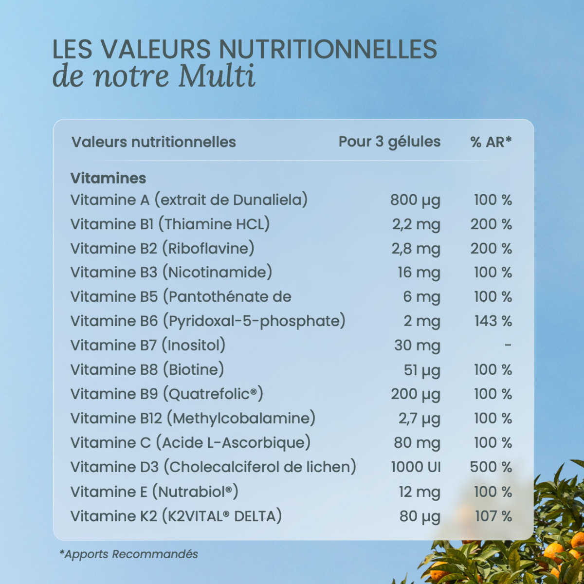 Nutri&Co Multivitamines et Minéraux 25 Nutriments pour l'Immunité - 90 gélules